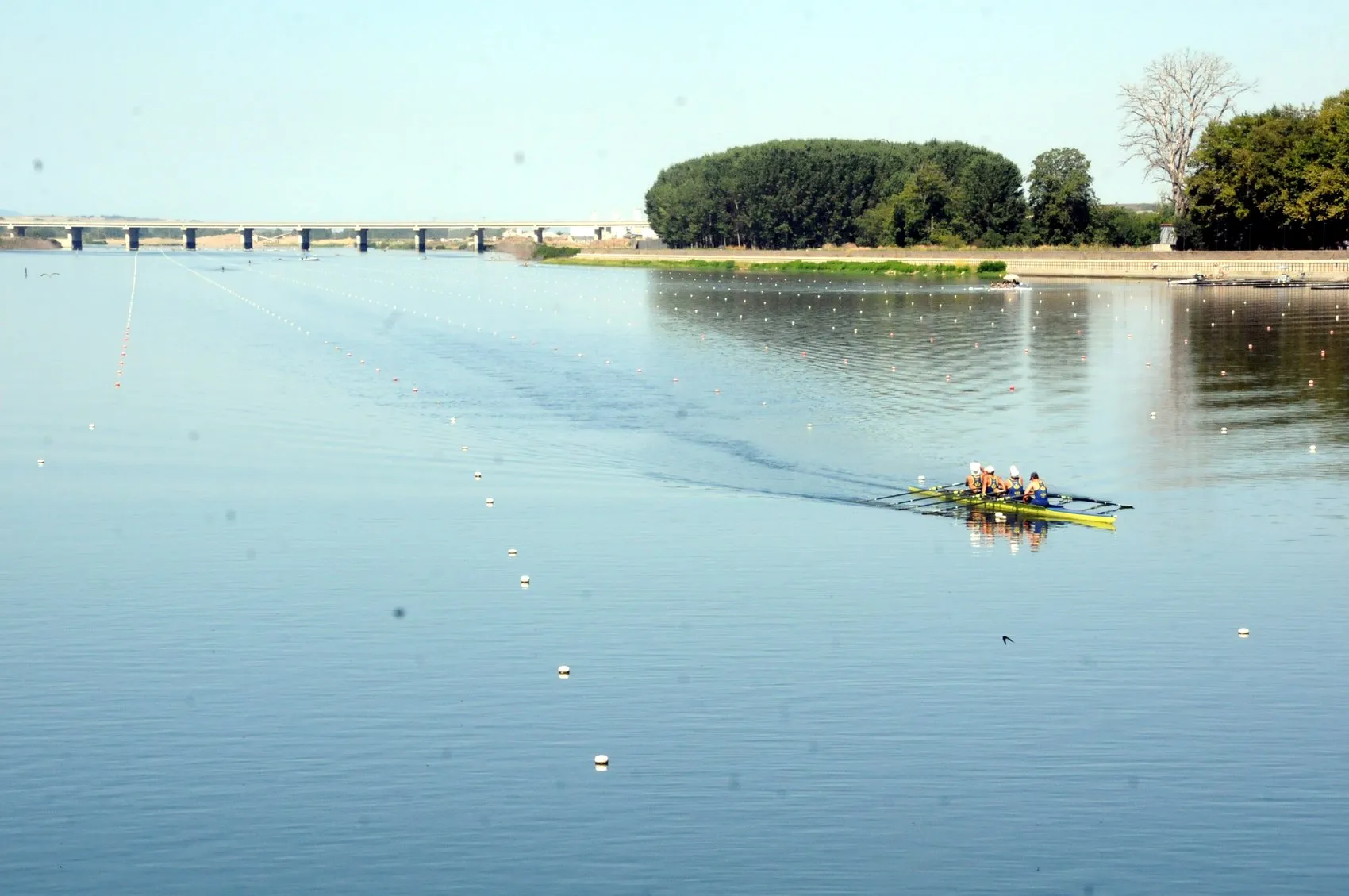 Meriç Nehri genç kürekçilerin rekabetine sahne oluyor