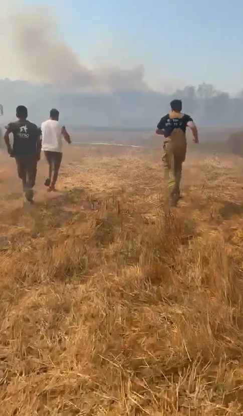 Yangına bir destek de hayvanseverlerden