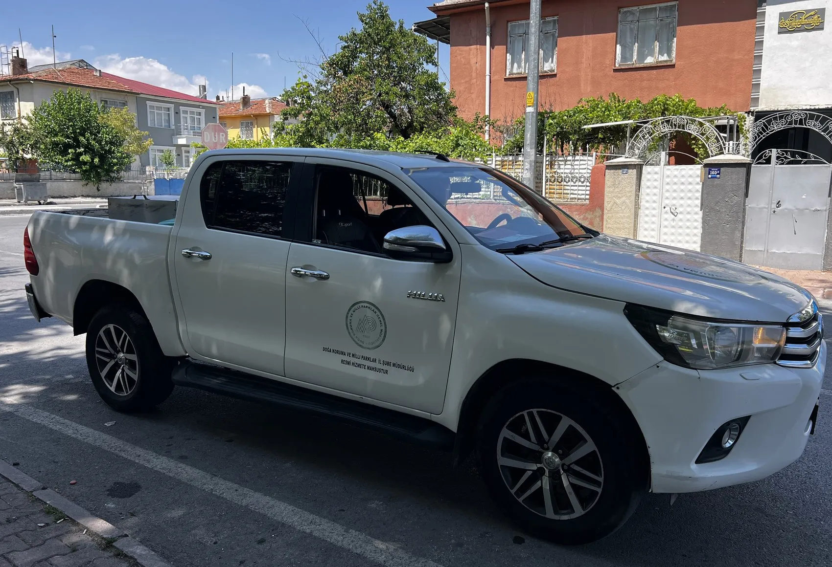Kayserili kadından örnek duyarlılık 5 güvercin yavrusunu kurtardı