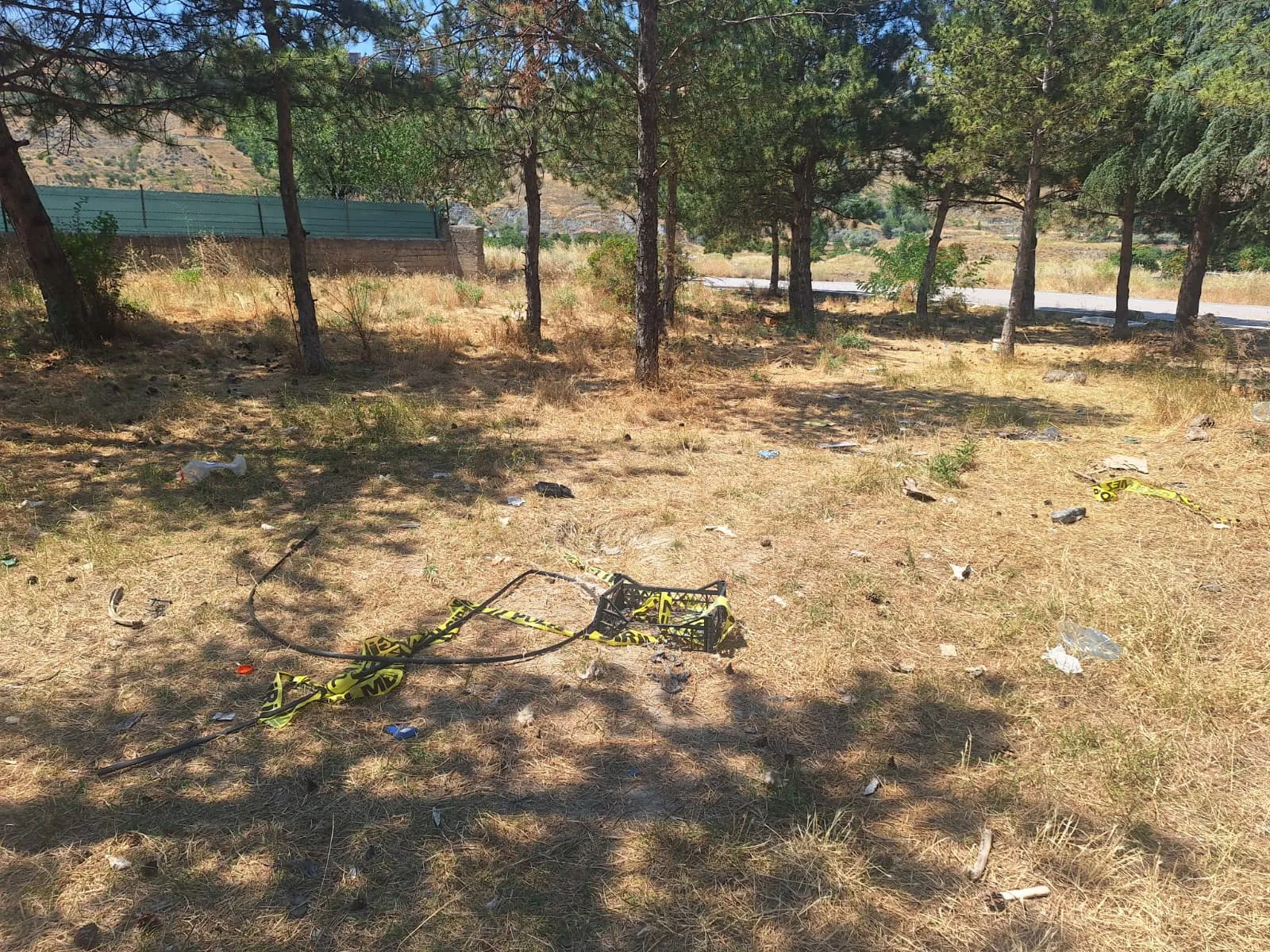 Sokak hayvanları derneği başkanını öldüren kardeşi aranıyor