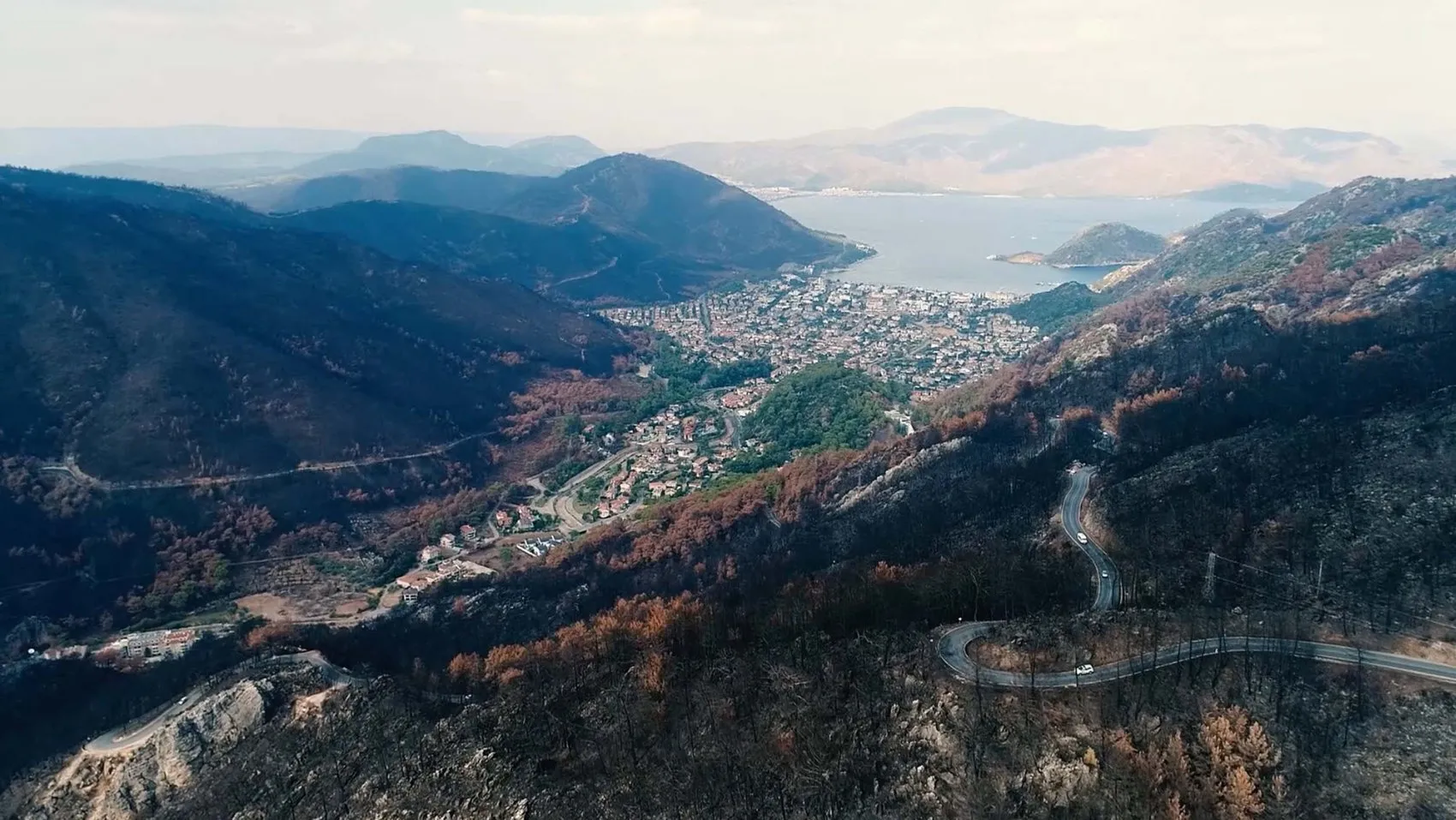 Muğla ormanları 5 yıl sonra küllerinden yeniden doğdu