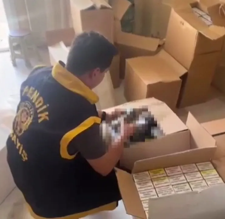 Pendik'te kaçak tütün deposuna polis baskını