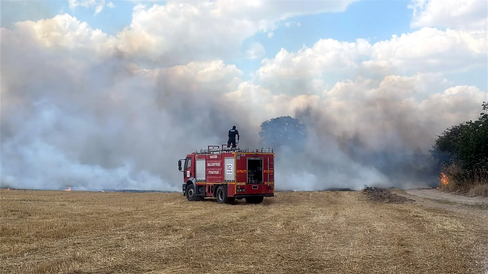 Elektrik tellerine konan kuş koca bir tarlayı küle çevirdi