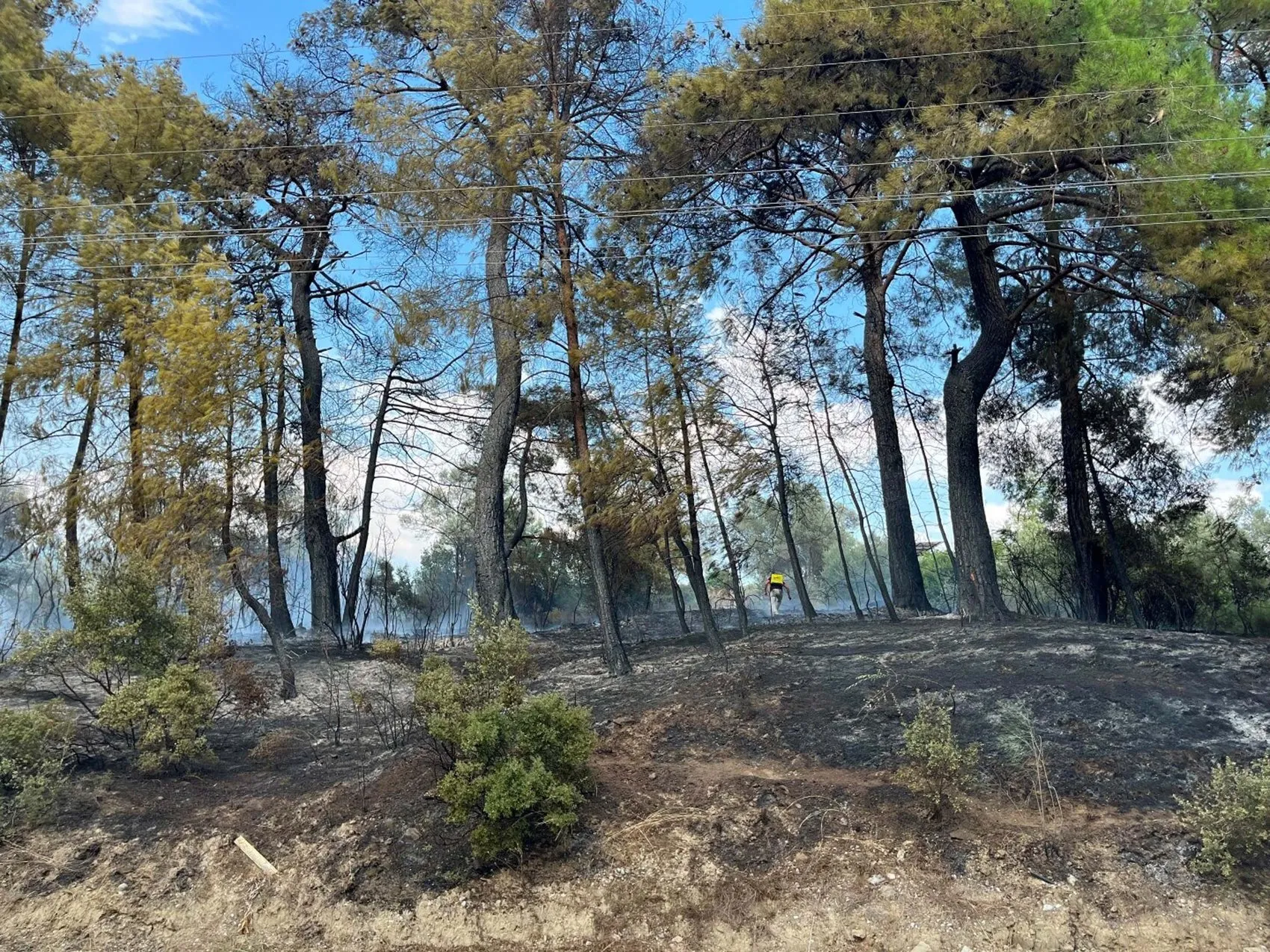 Seydikemer orman yangınını ekipler büyümeden söndürdü
