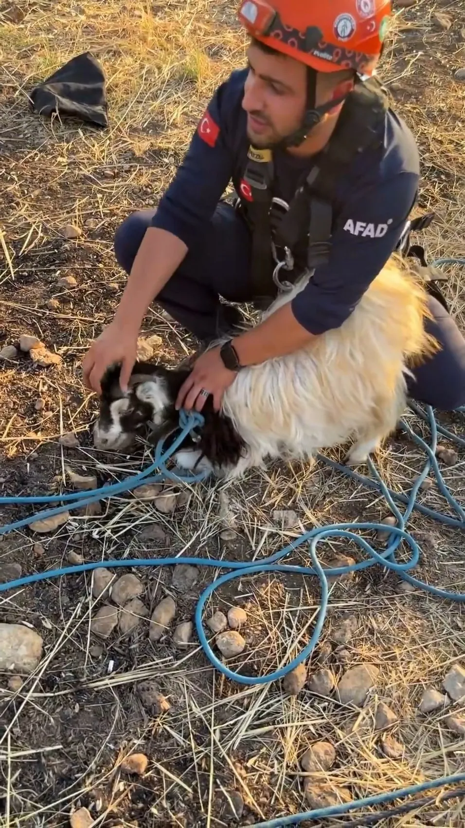 Siirt'te obrukta mahsur kalan keçi AFAD'ın çalışmasıyla kurtarıldı