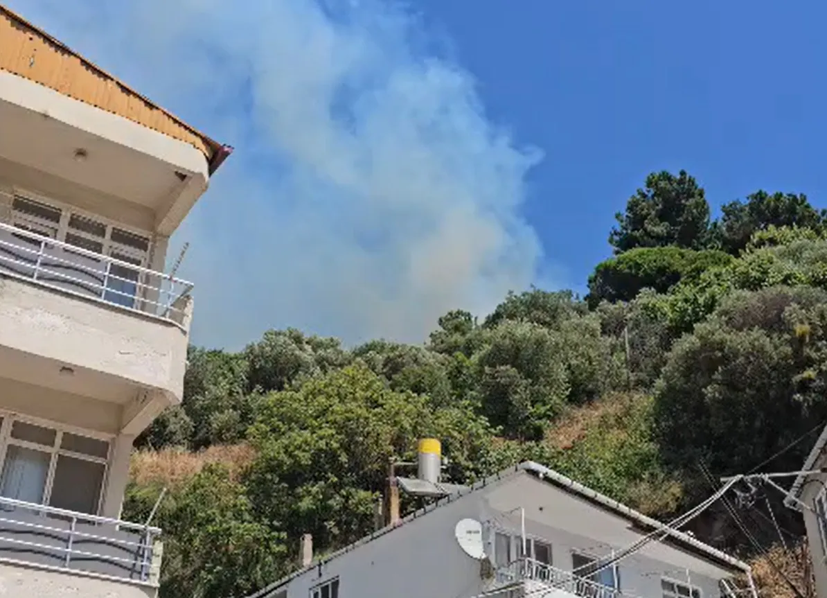 Marmara Adası alevlere teslim