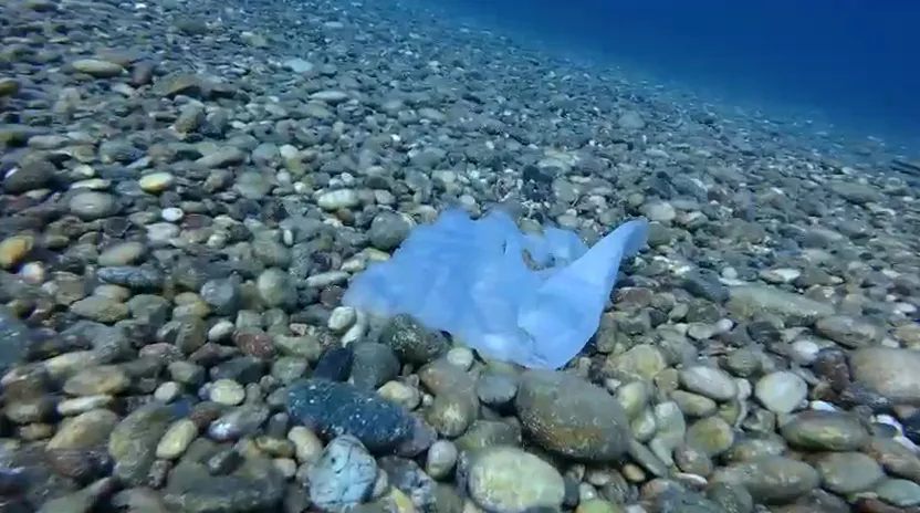 Antalya denizindeki Hıdırellez dilekleri balıkları öldürüyor