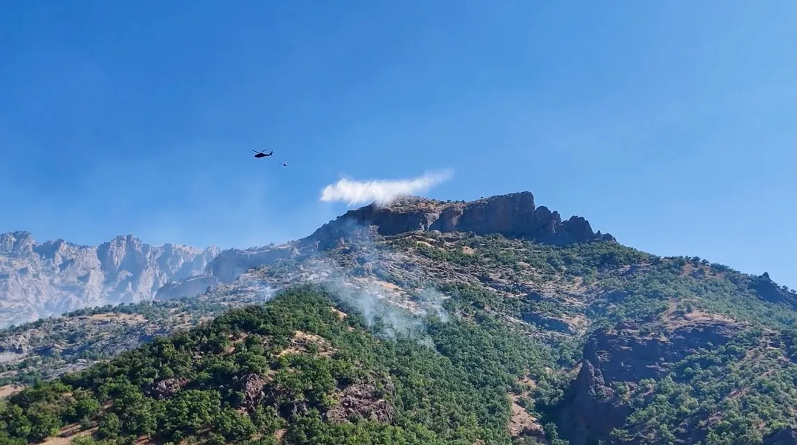 Munzur Vadisi'ndeki orman yangını söndürüldü