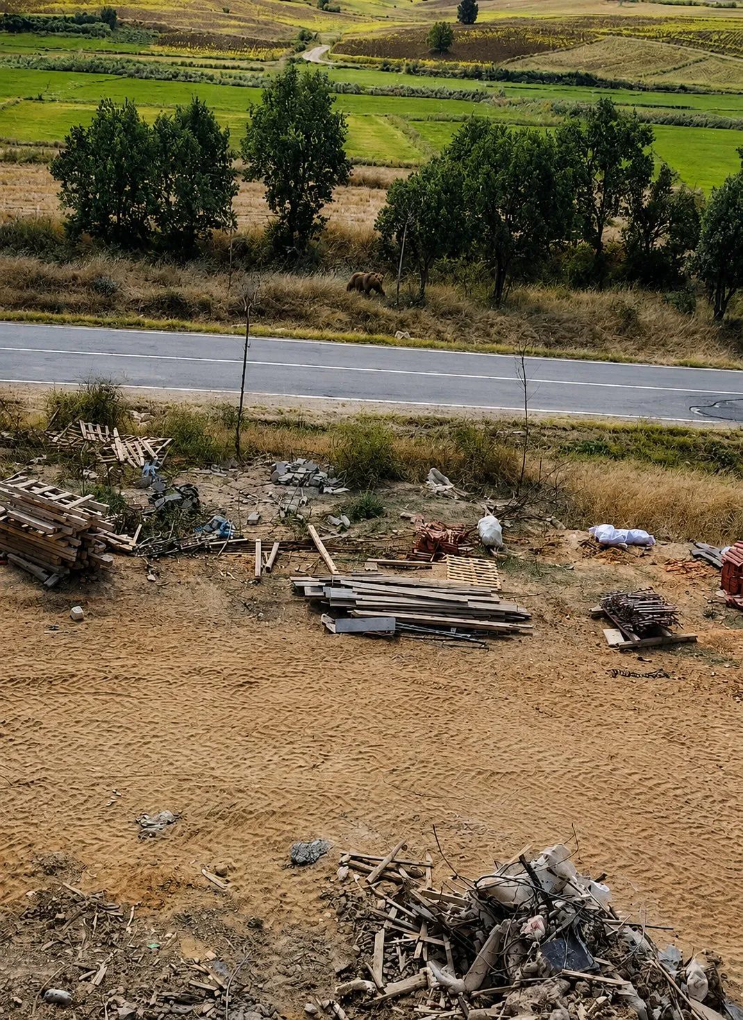 Edirne Meriç'te bozayı paniği yaşanıyor