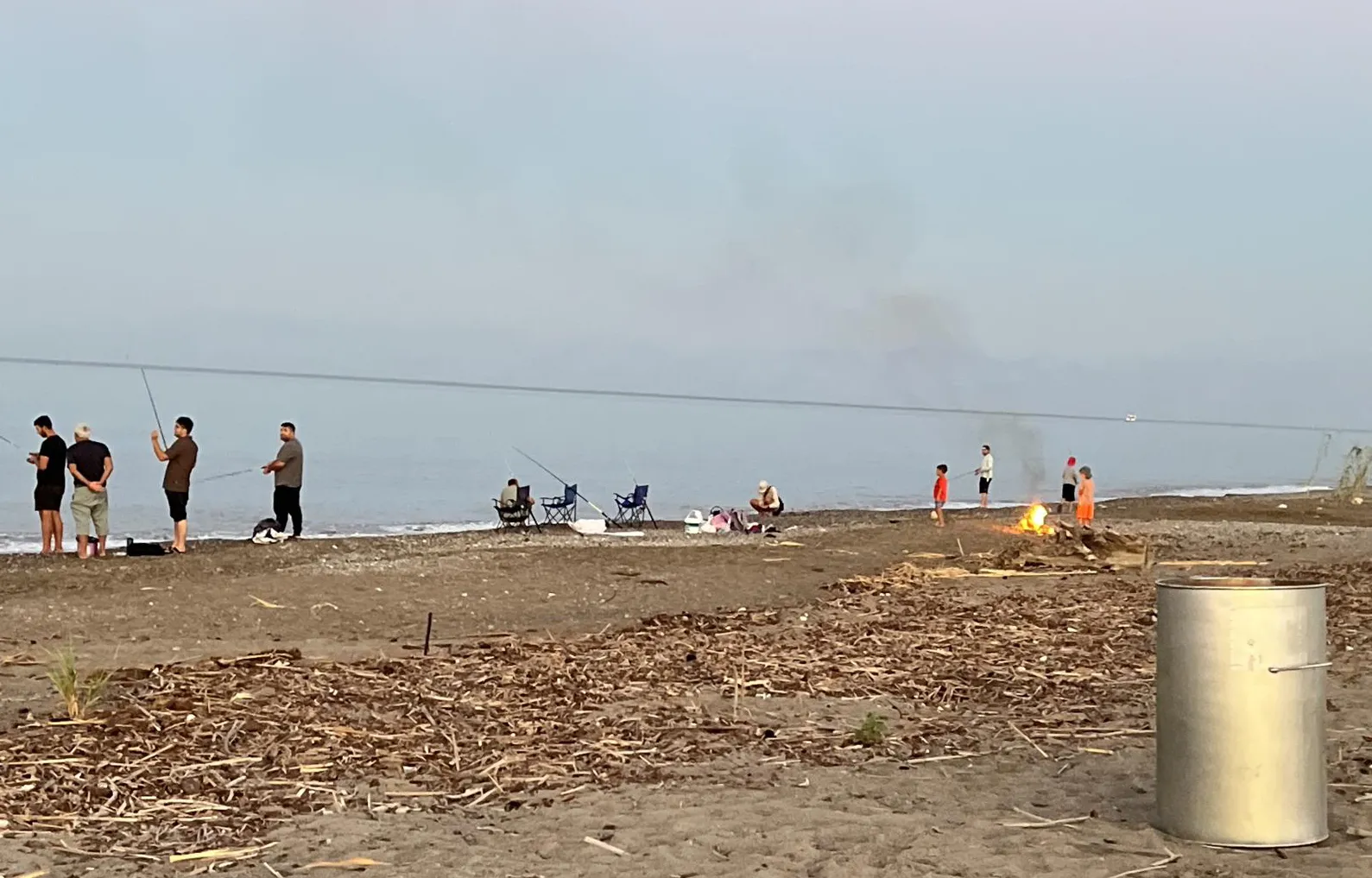 Antalya sahillerinde yakılan ateş yavru caretta carettayı öldürdü
