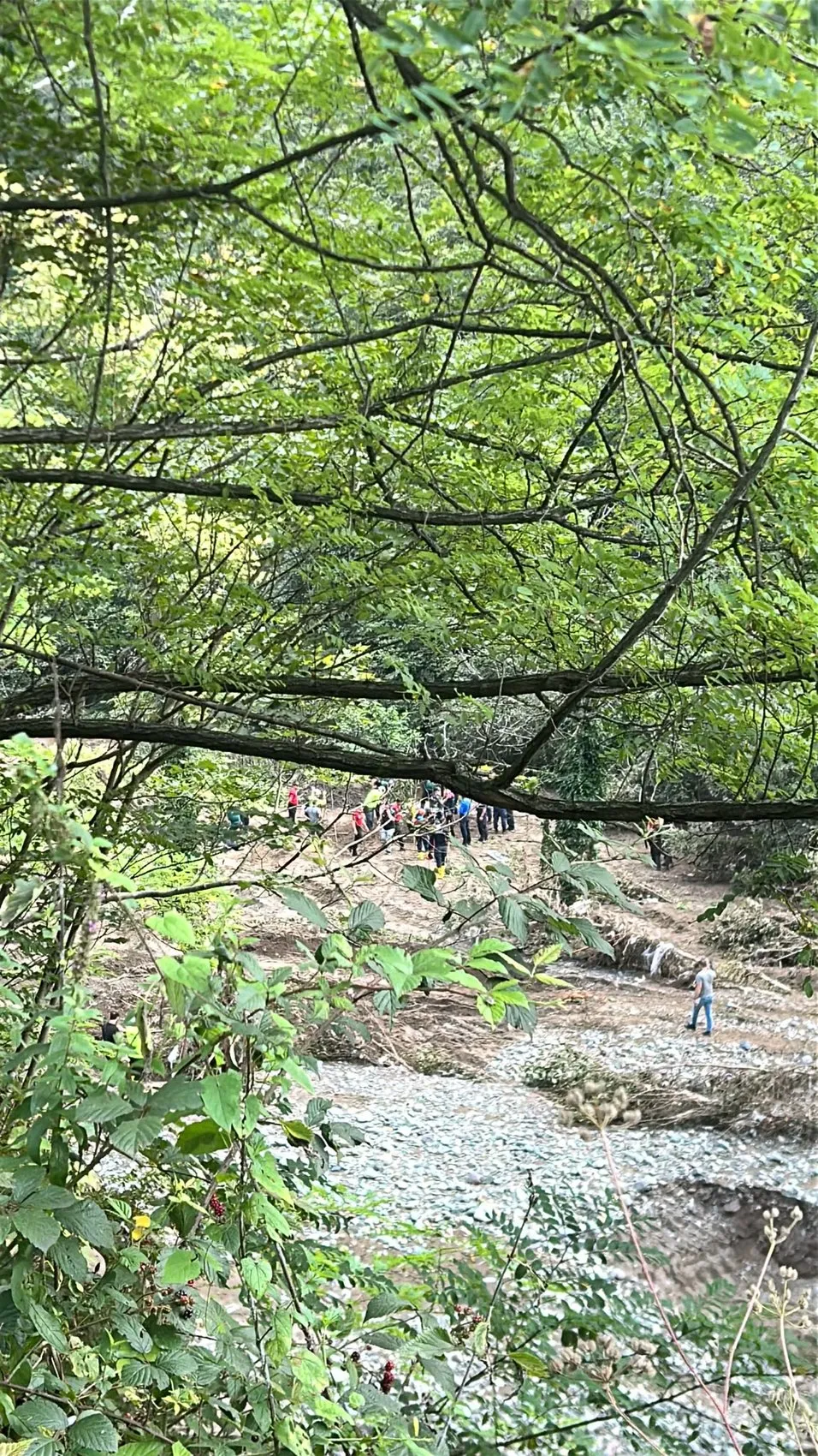 Giresun sel felaketinde acı haber geldi