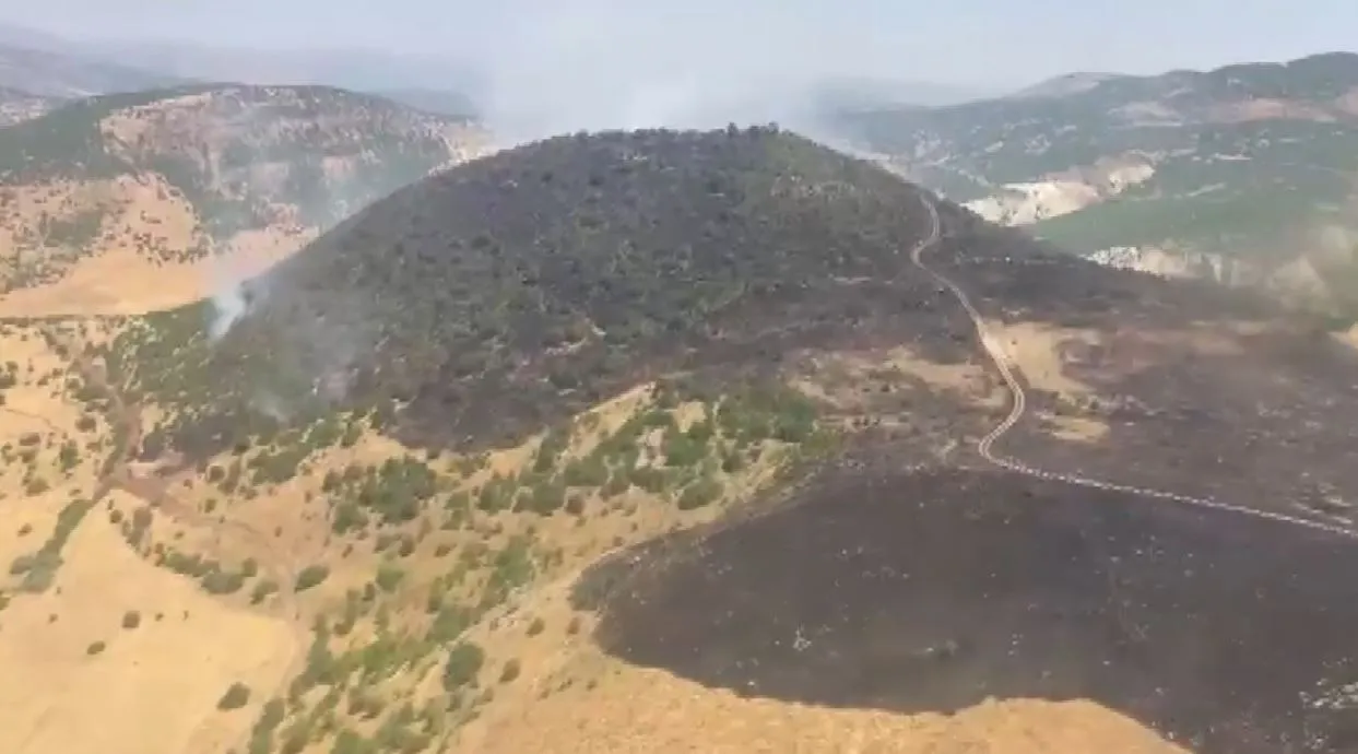 Karakoçan'daki orman yangını kontrol altına alındı