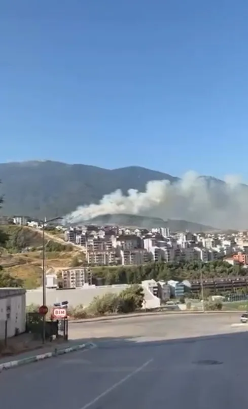 Bursa'nın iki ilçesinde üç noktada orman yangını, havadan müdahale sürüyor