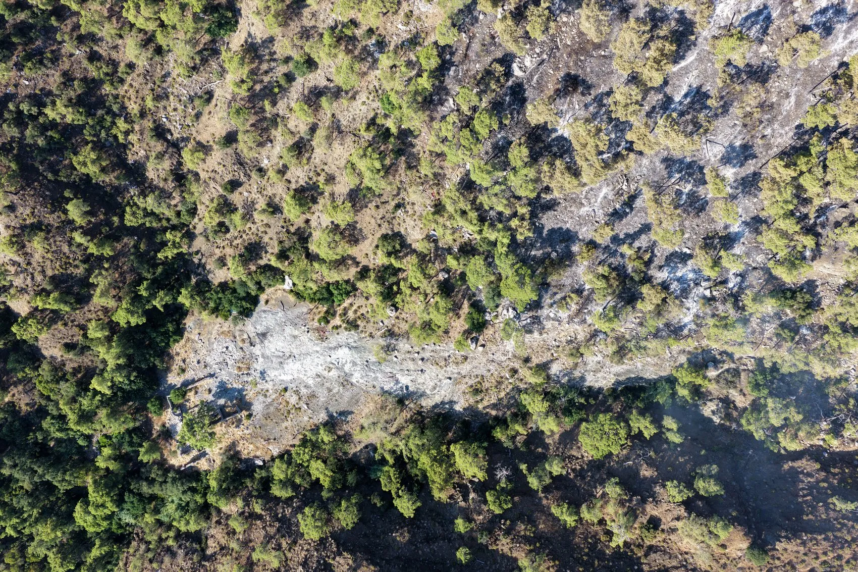 Antalya orman yangını 14 saatlik mücadelenin ardından söndürüldü