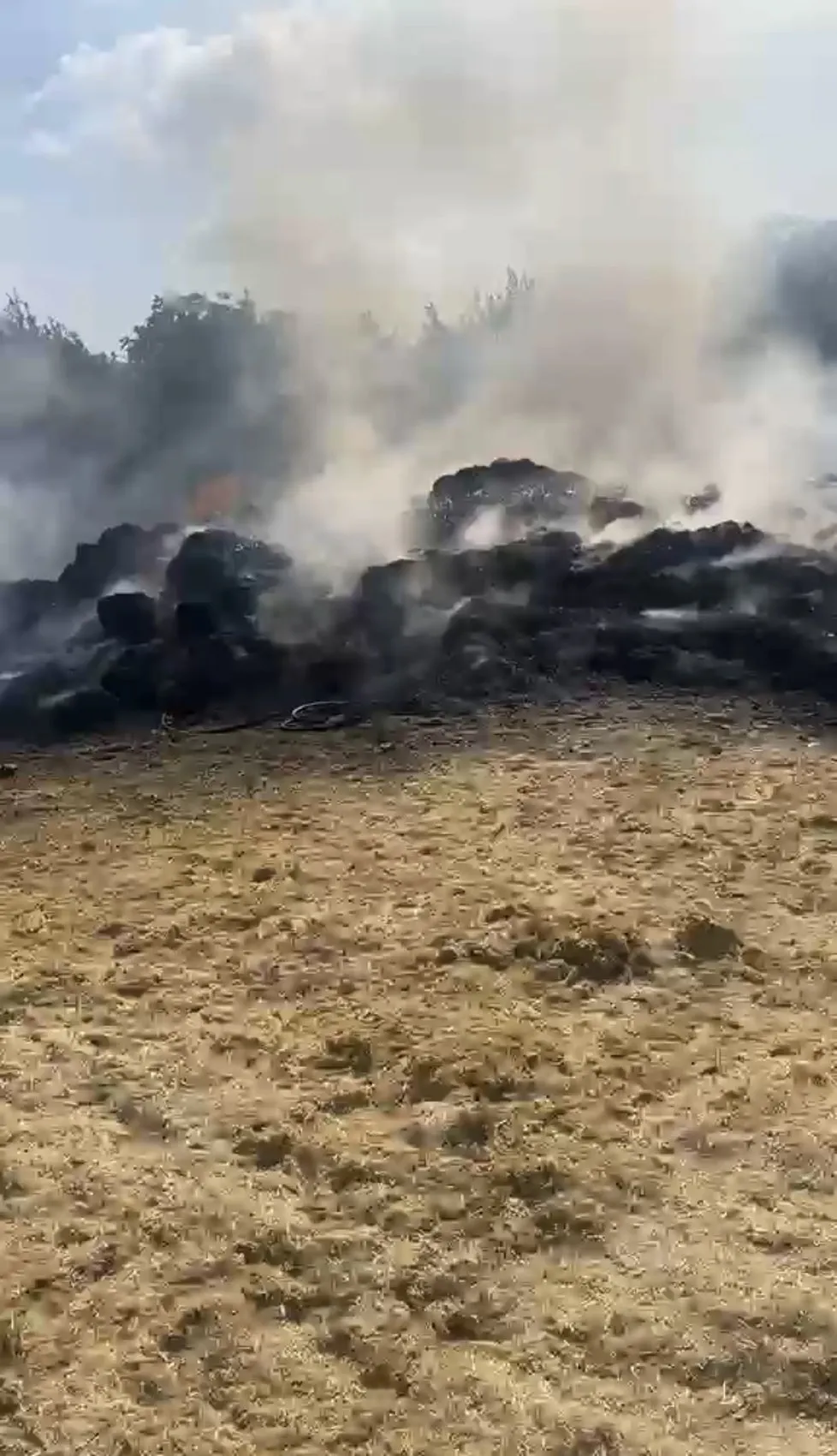 Karabük'te hasat mesaisi kabusa döndü