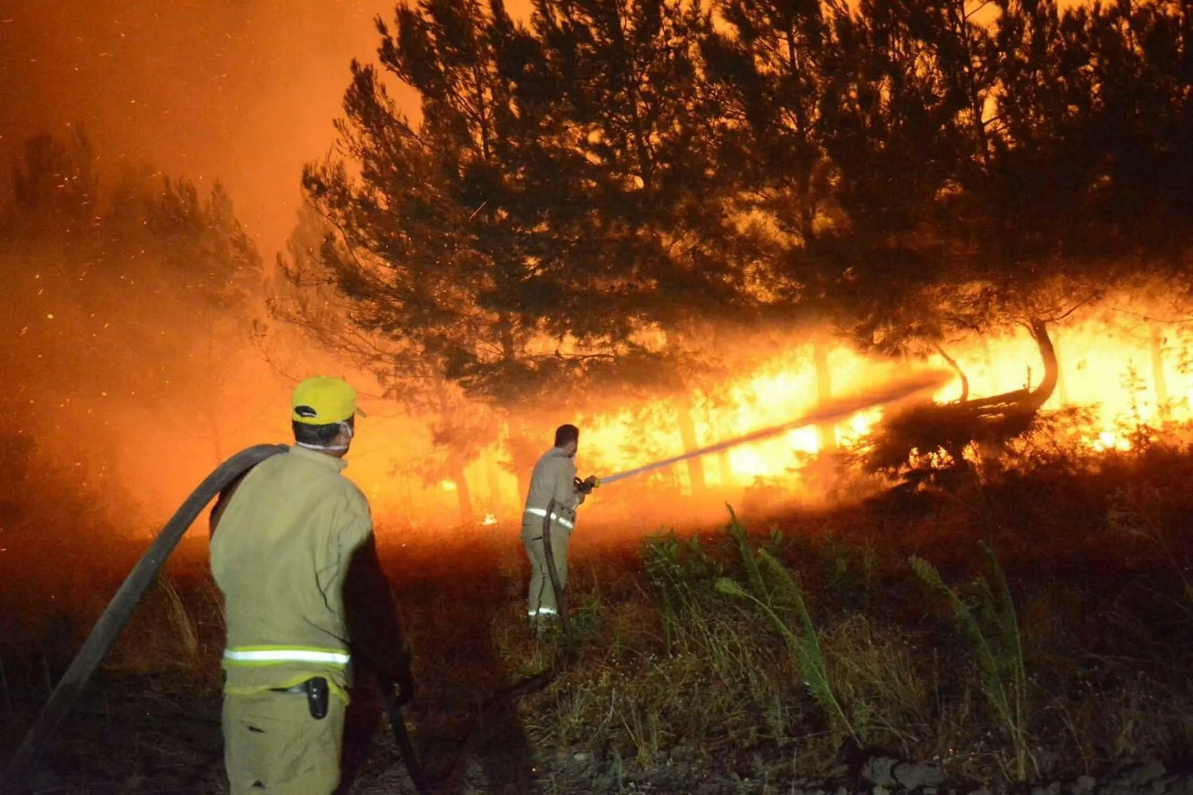 Çanakkale ormanlarında yangın bilançosu yarı yarıya azaldı