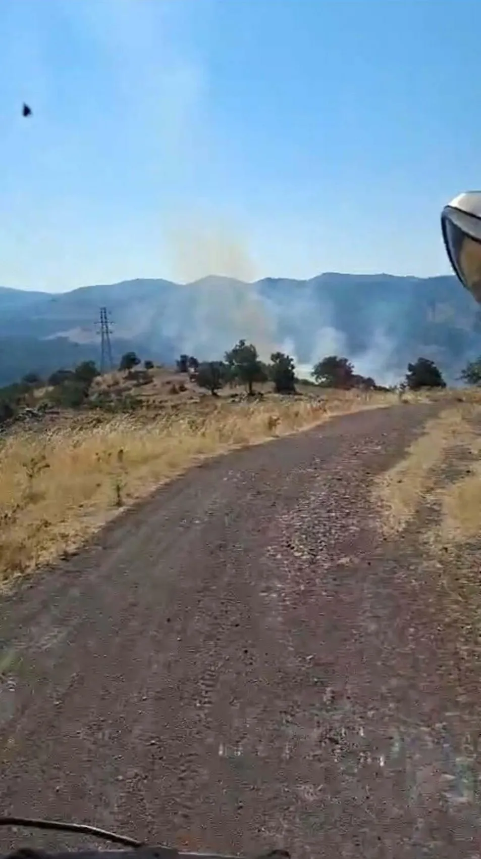 Ayvalık'ta otluk alanda başlayan yangın ormana sıçradı