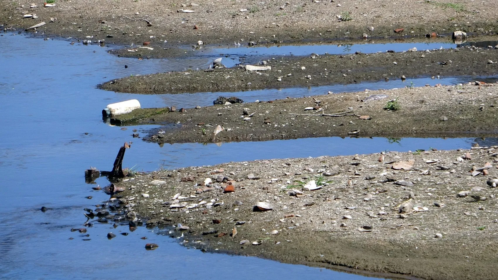 Tunca Nehri kuruyor Edirne’nin tarlaları tehlikede