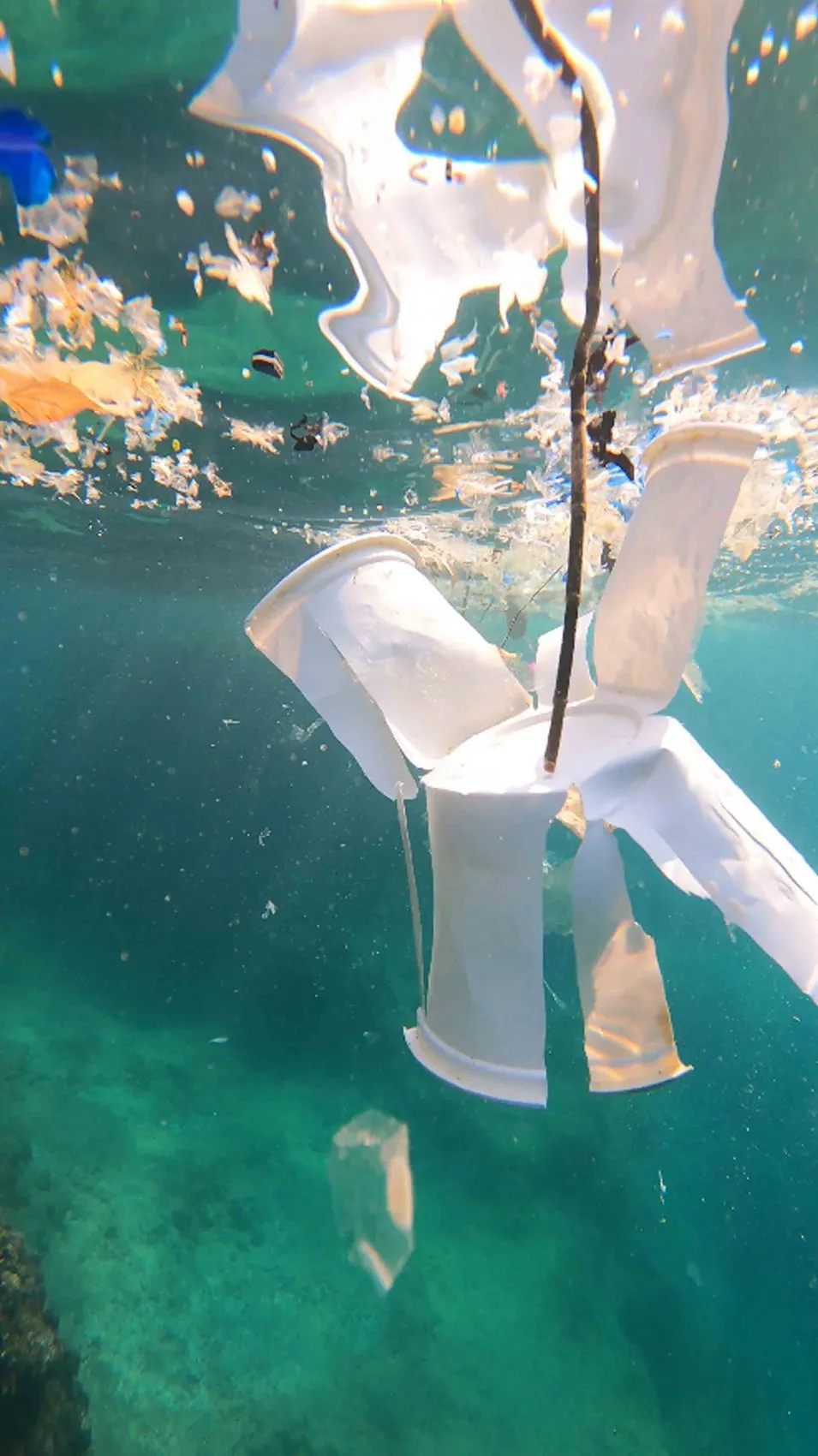 Akdeniz’deki kirlilik Antalya turizmini vurabilir