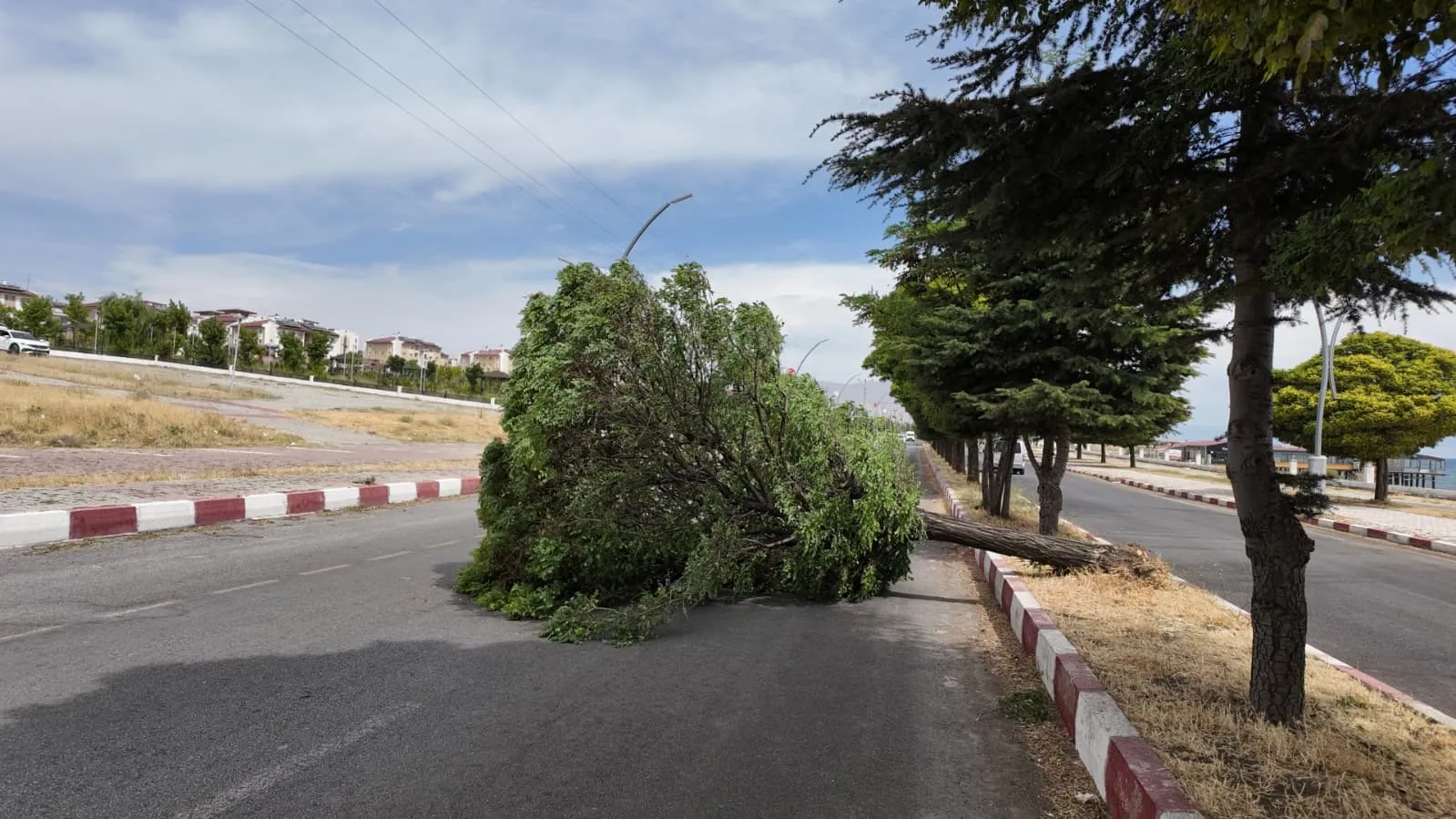 Van Erciş'te doğa bir anda öfkelendi: Ağaçlar devrildi, çatılar uçtu