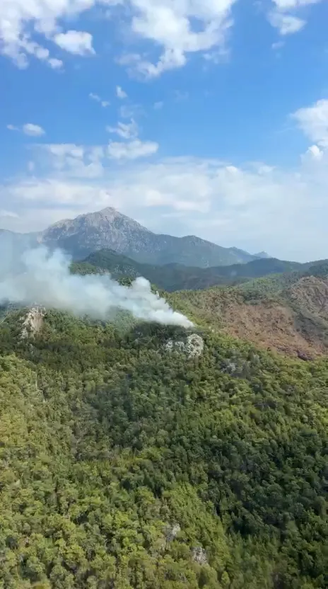 Çıralı ormanlarında yangın paniği
