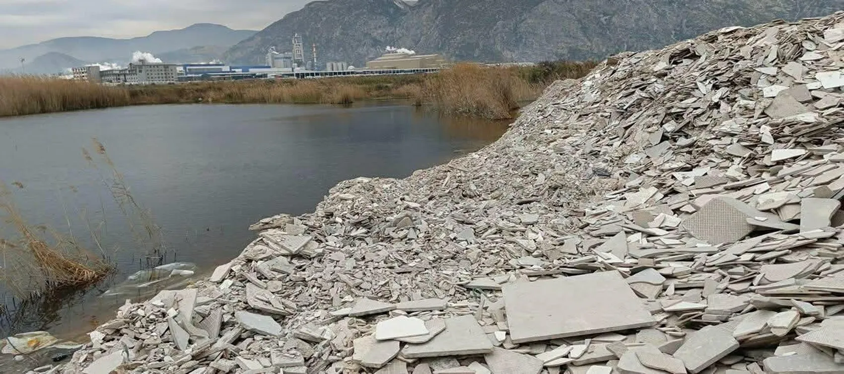 Söke'de yaralı karaleylek kurtarıldı