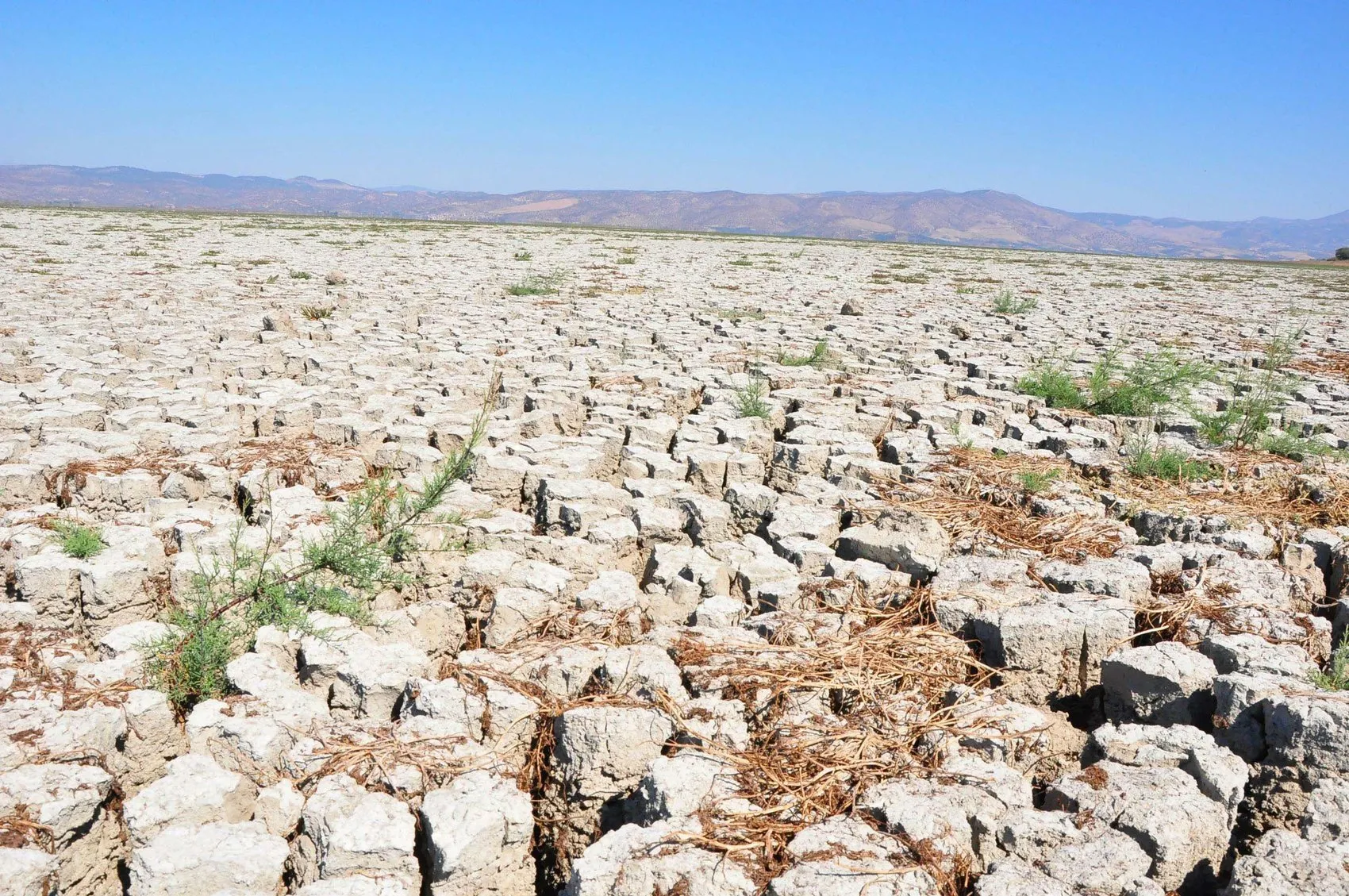 Afrika üzerinden gelen sıcak hava dalgası geliyor