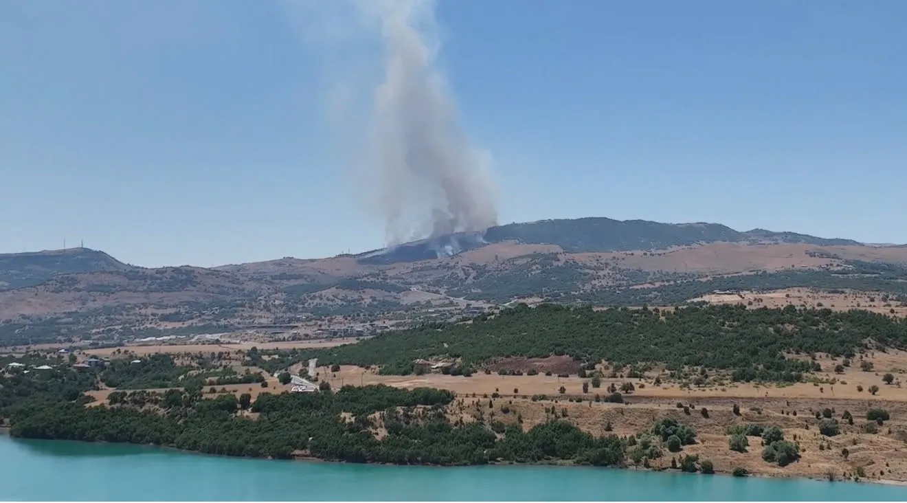 Tunceli'de orman sınırında korkutan yangın