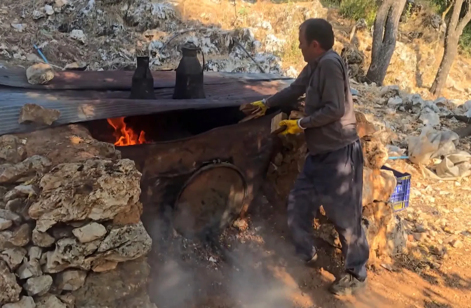 Kaş’ta sedir ağacı kökünden geleneksel yöntemle 1000 liralık kazanç