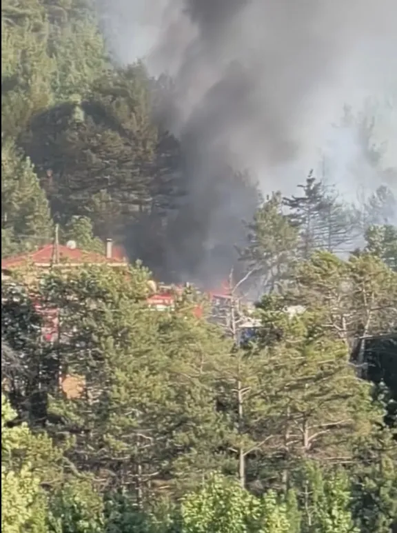 Bolu Göynük ormanlarında yangın paniği