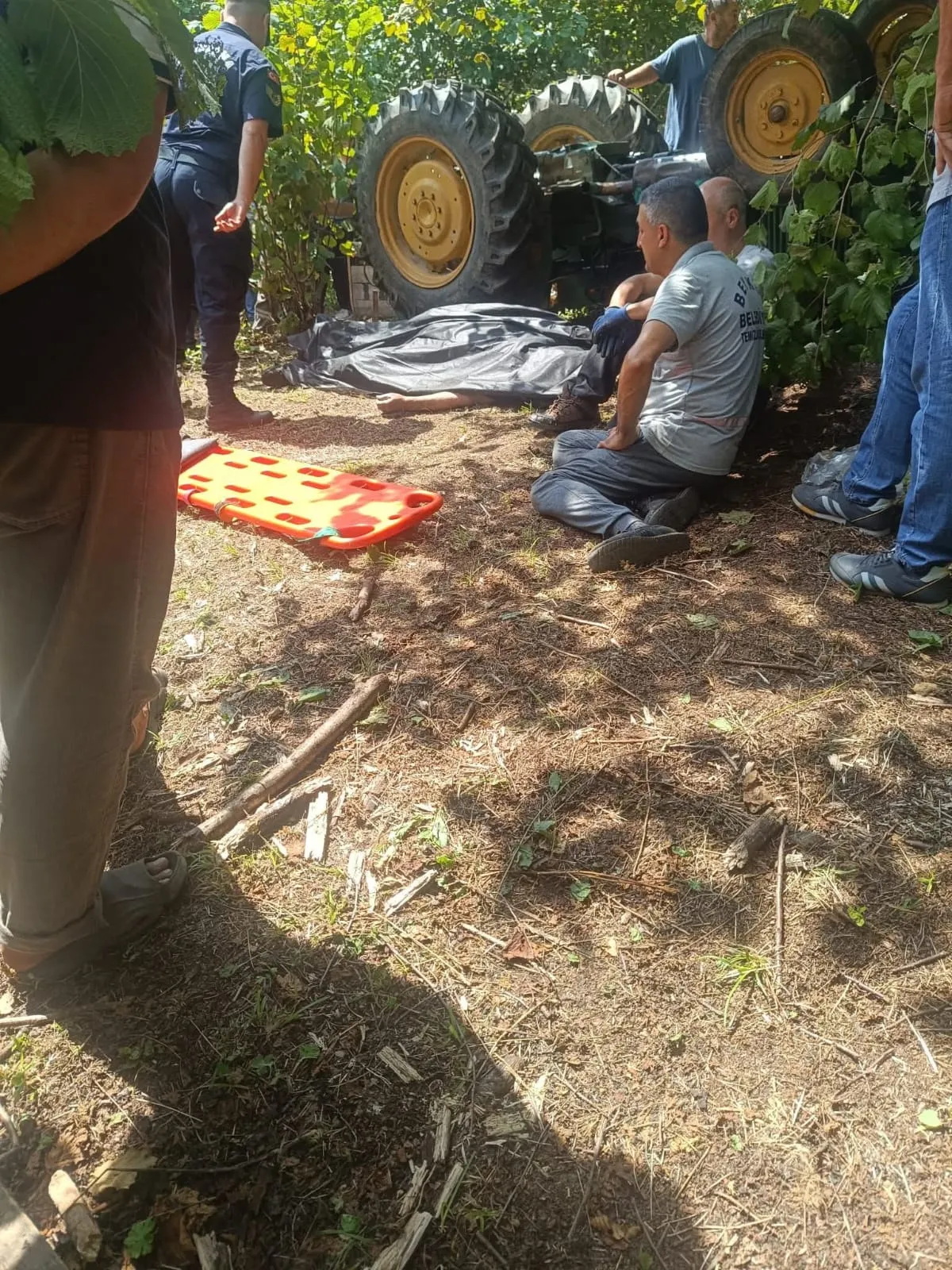 Fındık bahçesine giderken traktör devrildi, sürücü hayatını kaybetti