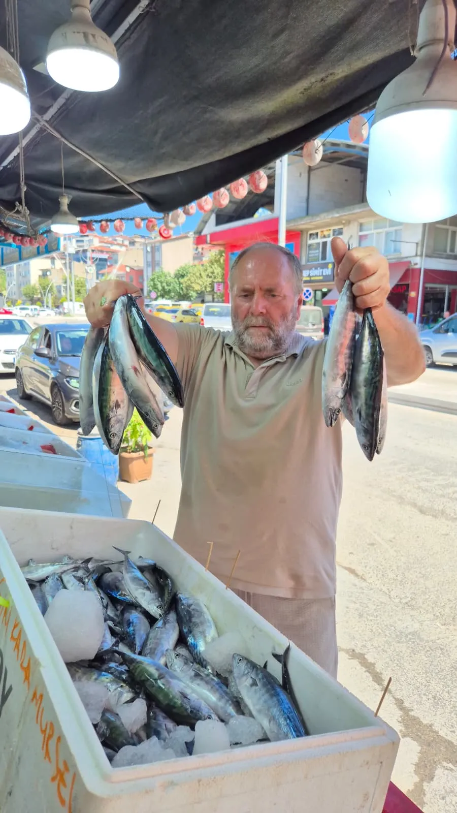 Karadeniz balıkçısının yüzü güldü Palamut tezgahlara indi