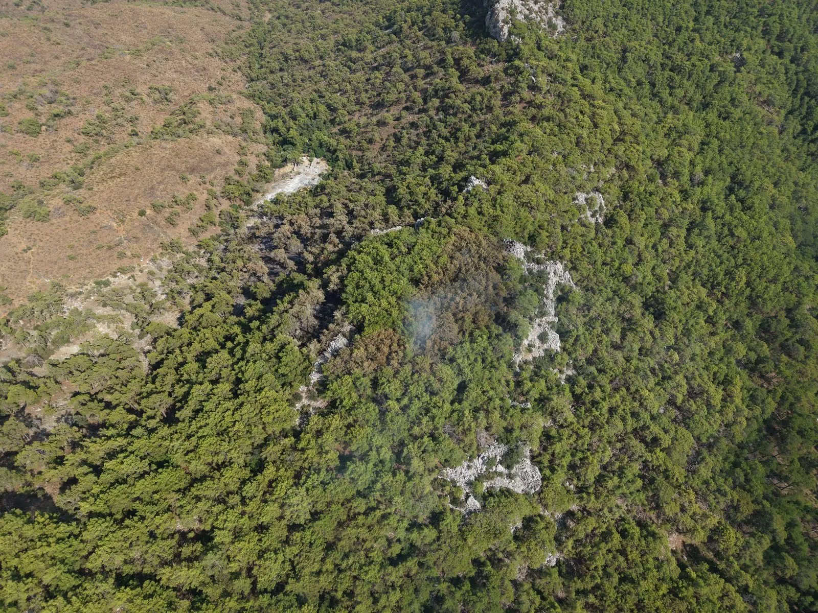Kemer'de Çıralı yangını kontrol altına alındı
