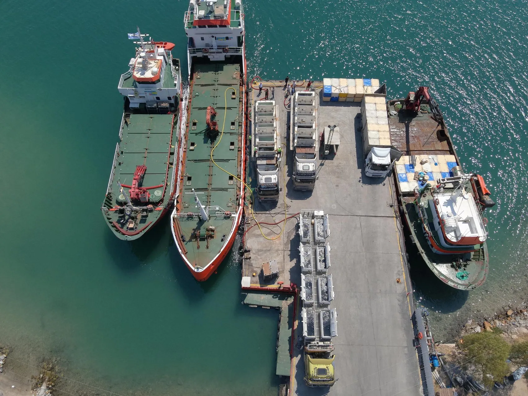 Muğla'nın mavi hazinesi 900 milyon yavru balık 5 ülkeye ihraç ediliyor