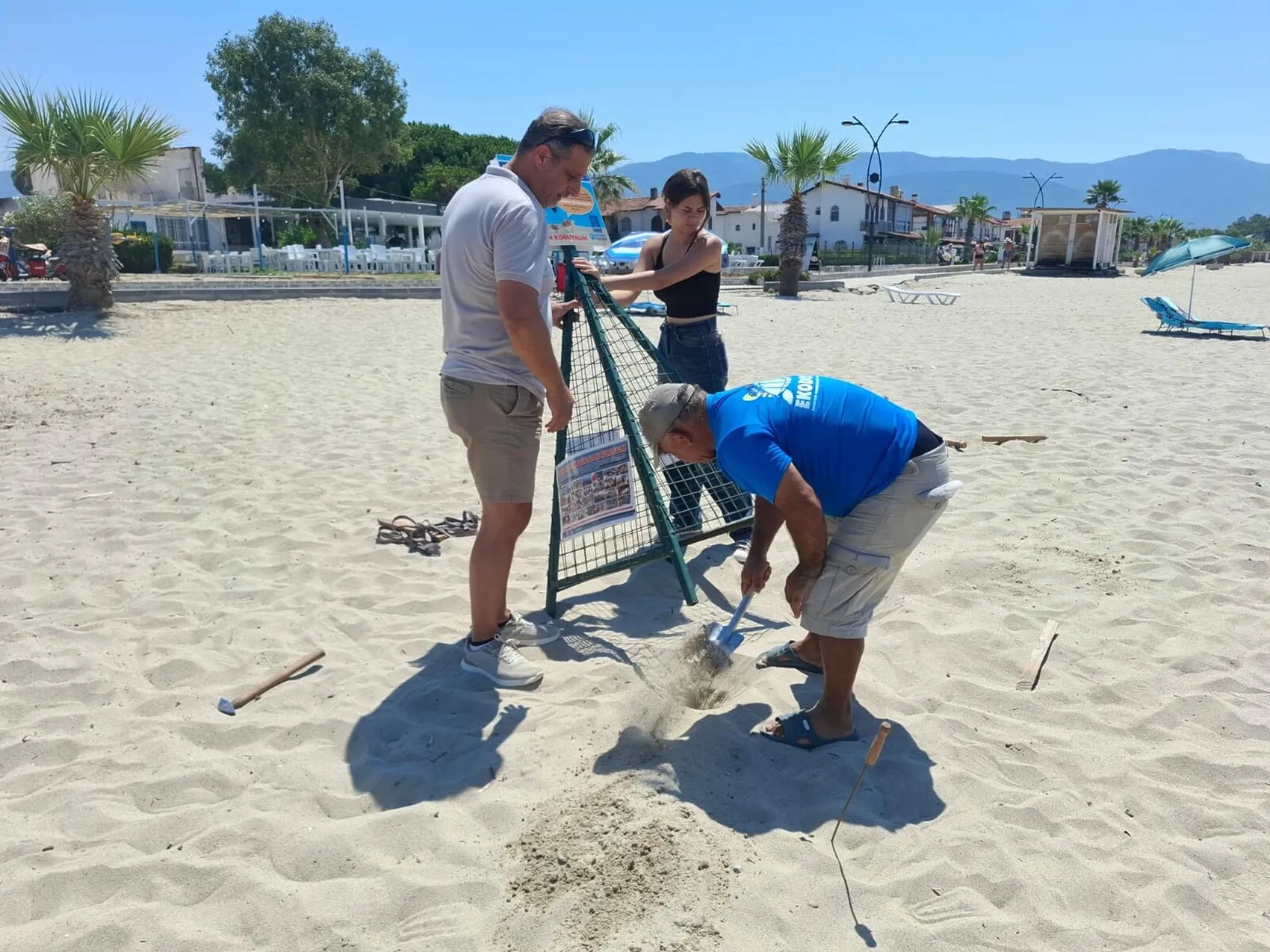 Caretta caretta yavruları 54 gün sonra Güzelçamlı'da denize kavuştu