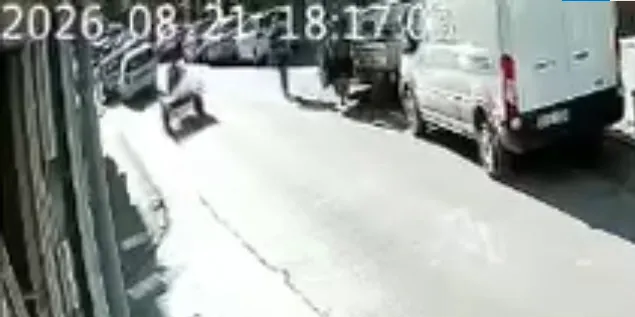 Edirne Uzunköprü'de kontrolden çıkan at arabası ortalığı birbirine kattı