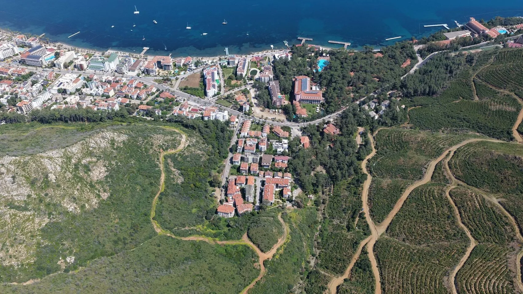 Muğla ormanları 5 yıl sonra küllerinden yeniden doğdu