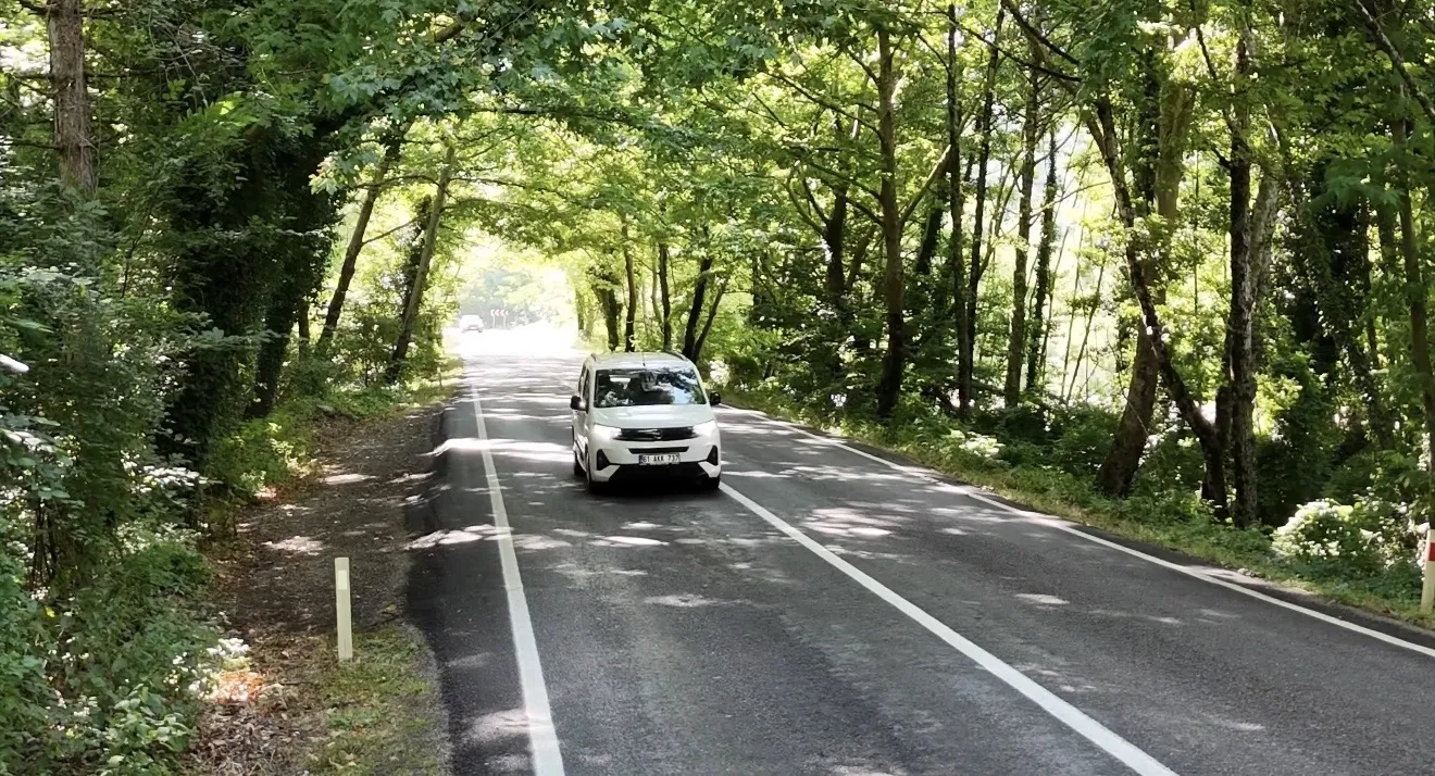 Bartın'da doğanın oluşturduğu o meşhur ağaç tünel yolu