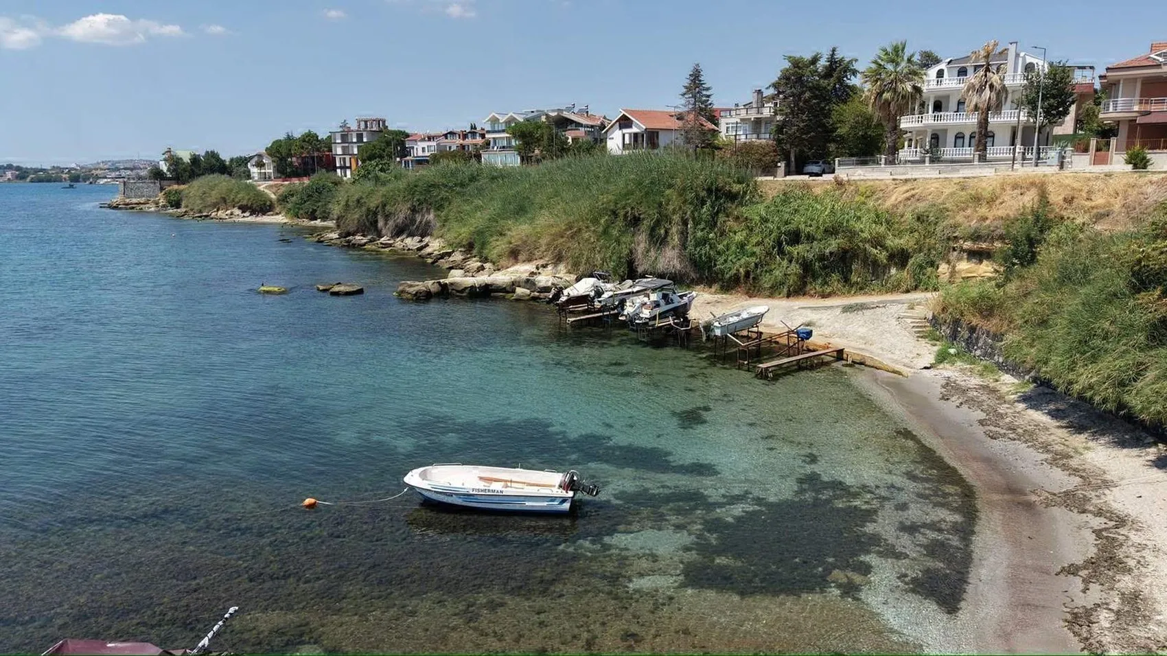 Marmara Denizi'nde denizanası istilası tatilcileri endişelendiriyor