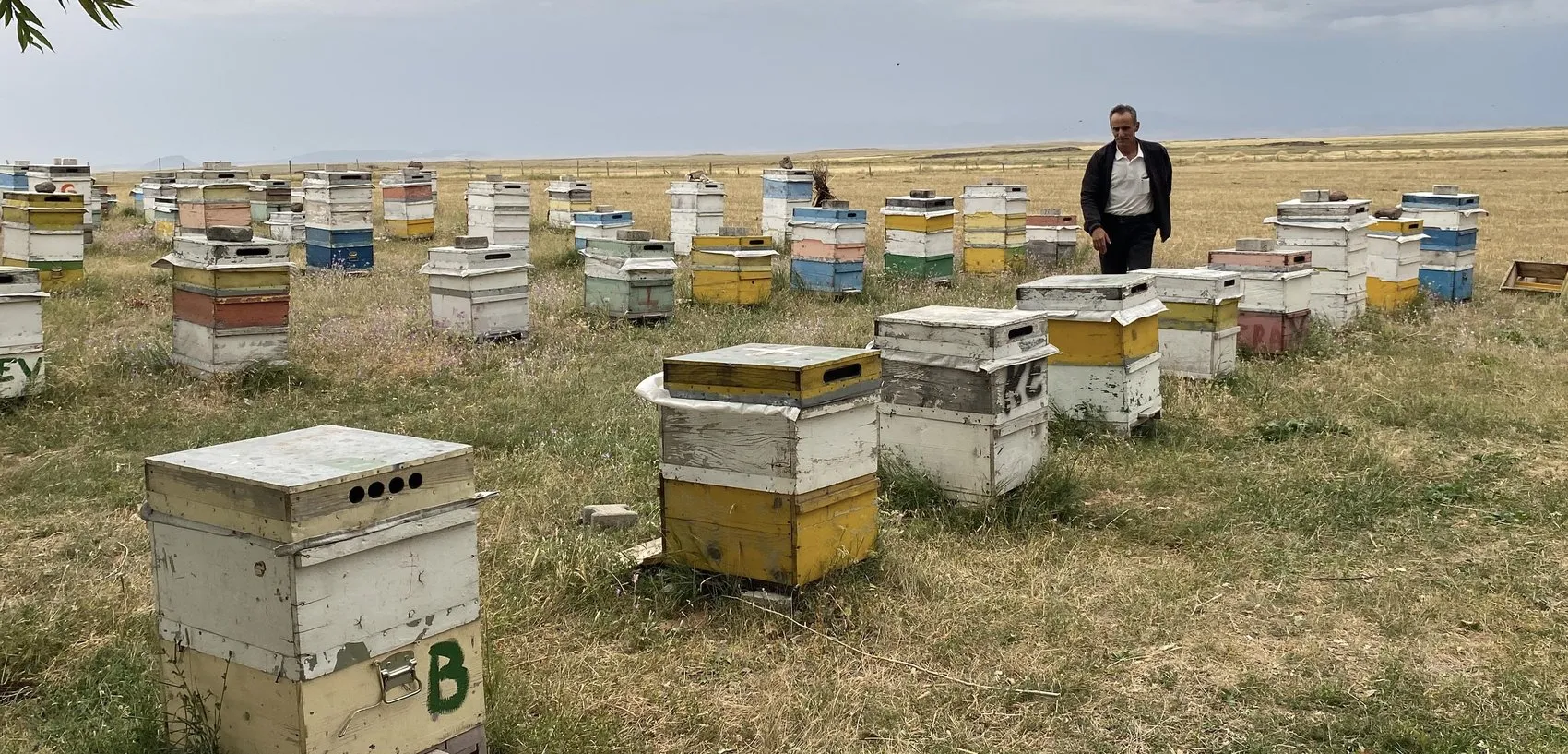 Karslı arıcılar fırtınaya karşı kovanlarını taşla korumaya aldı