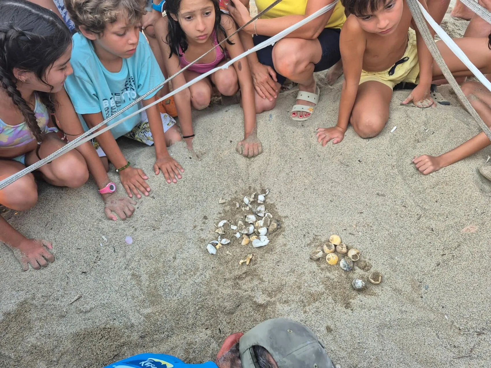 Caretta caretta yavruları 54 gün sonra Güzelçamlı'da denize kavuştu