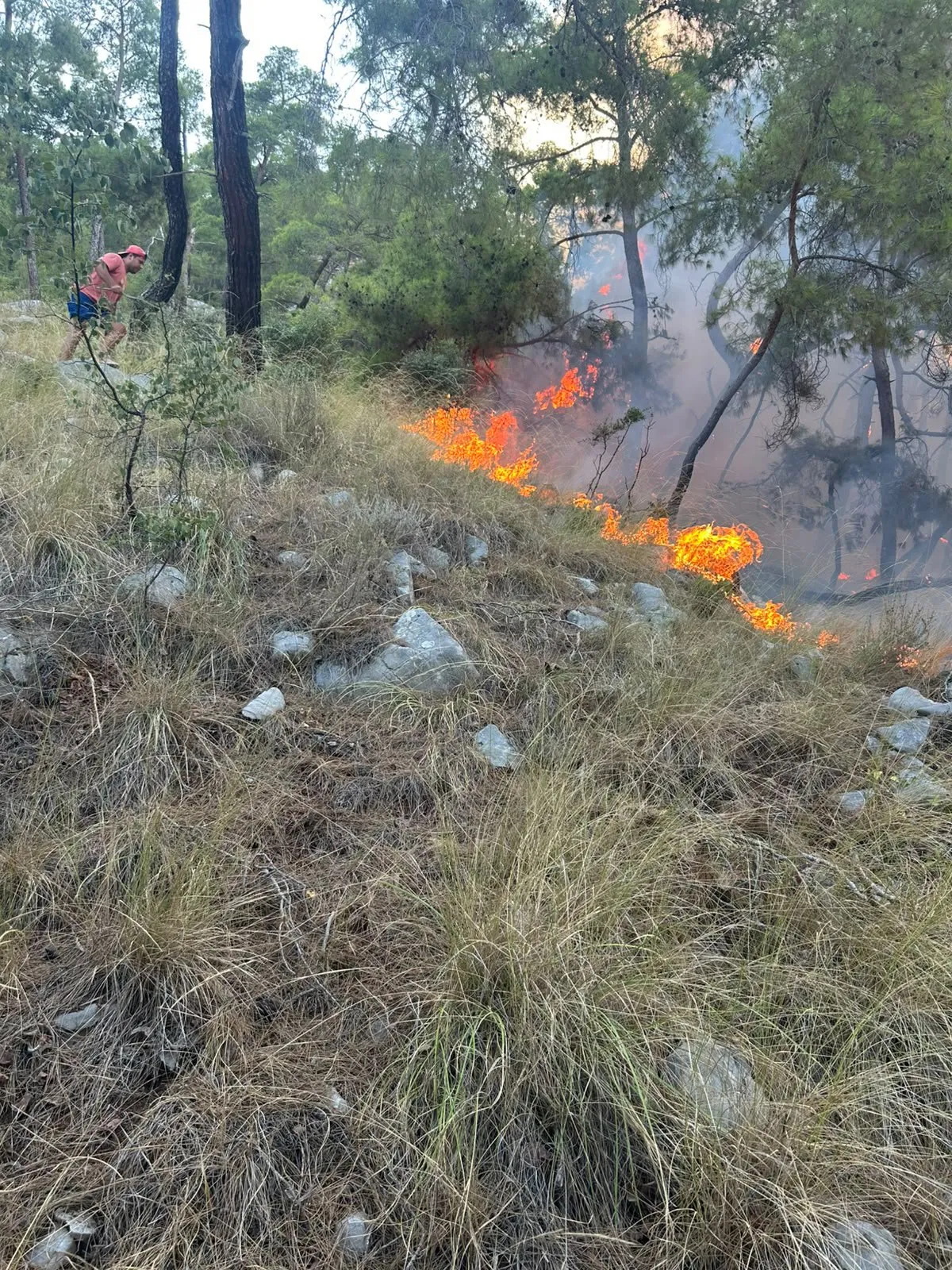 Kemer ormanlarında gece mesaisi başladı