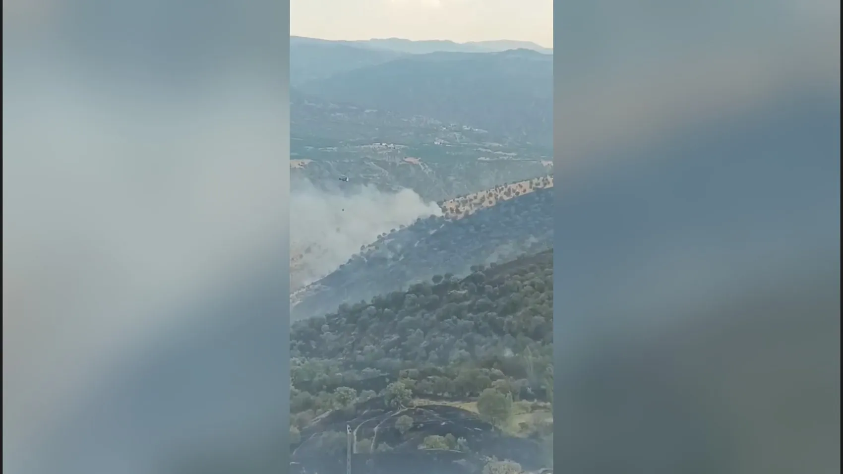 Pütürge’de orman yangını başladı