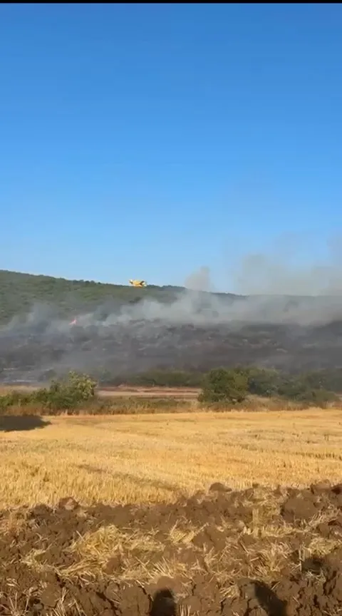 Balıkesir Manyas’ta tarım alanından ormana sıçrayan yangın paniği