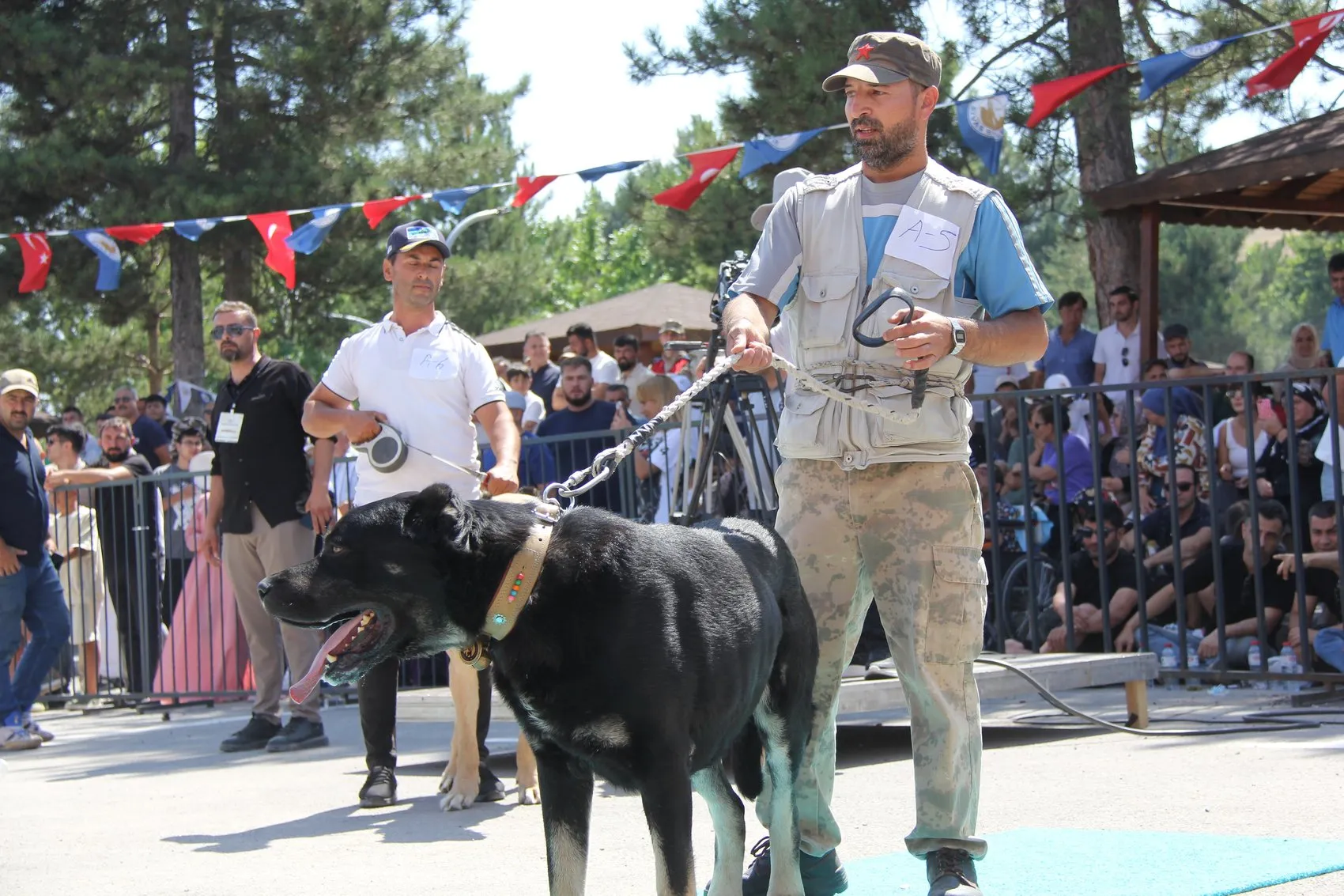 Sivaslı Kangallar podyumda güzelliklerini sergiledi