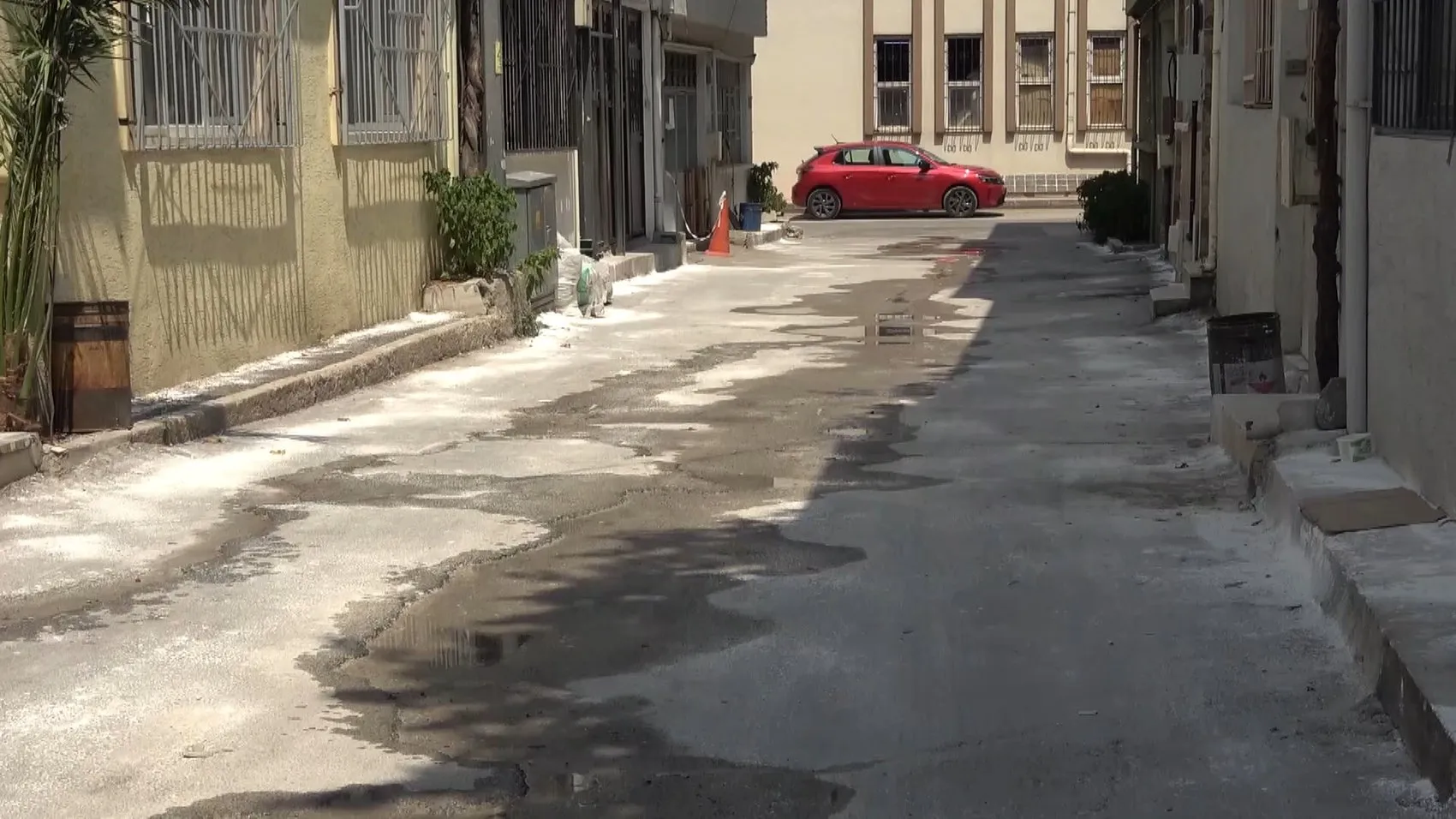 Bursa'da bir apartman sokağı pire istilasına sürükledi