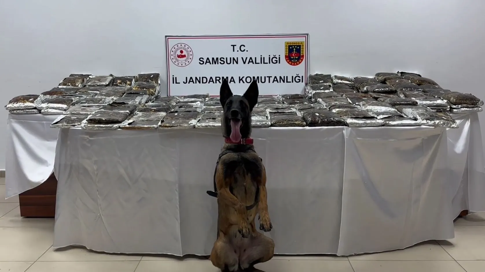 Samsun'da TIR operasyonu ile 132 kilo esrar ele geçirildi