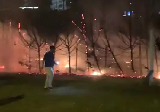 Avcılar sahilinde korkutan gece yangını