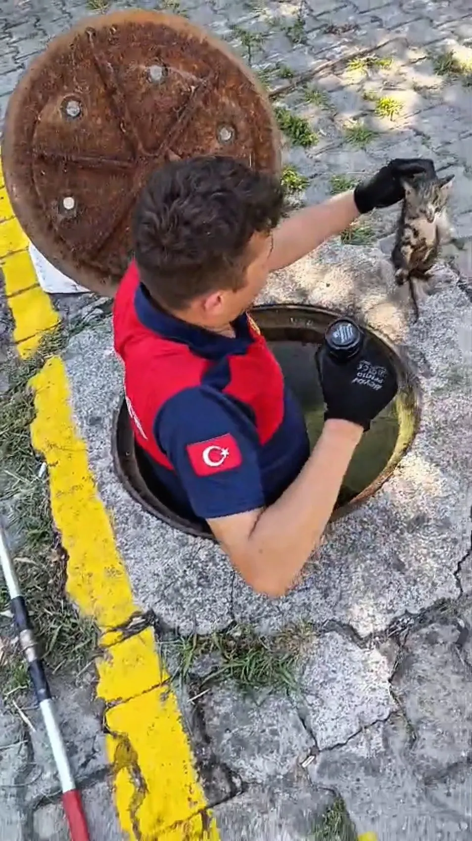 Zonguldak'ta rögara sıkışan yavru kedi bir saatlik uğraşla kurtarıldı