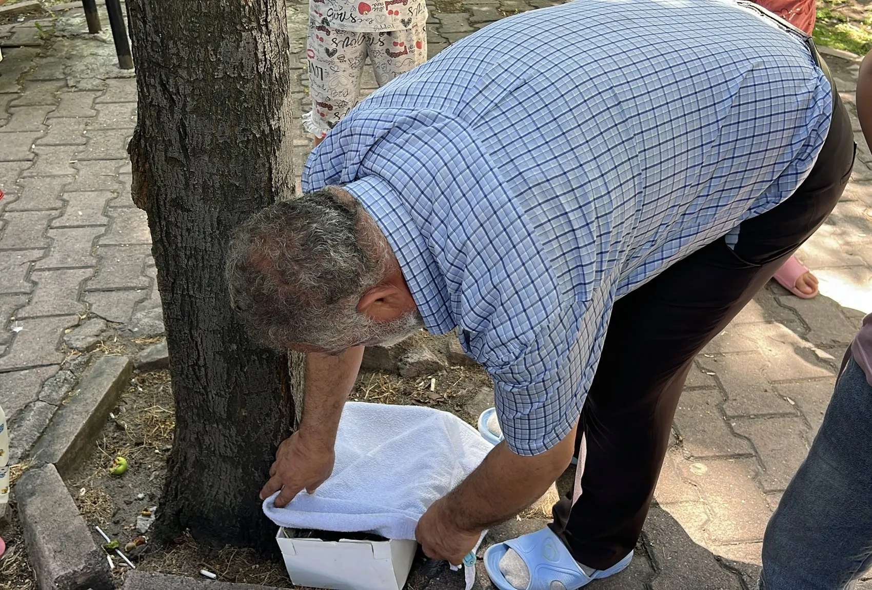 Kayserili kadından örnek duyarlılık 5 güvercin yavrusunu kurtardı